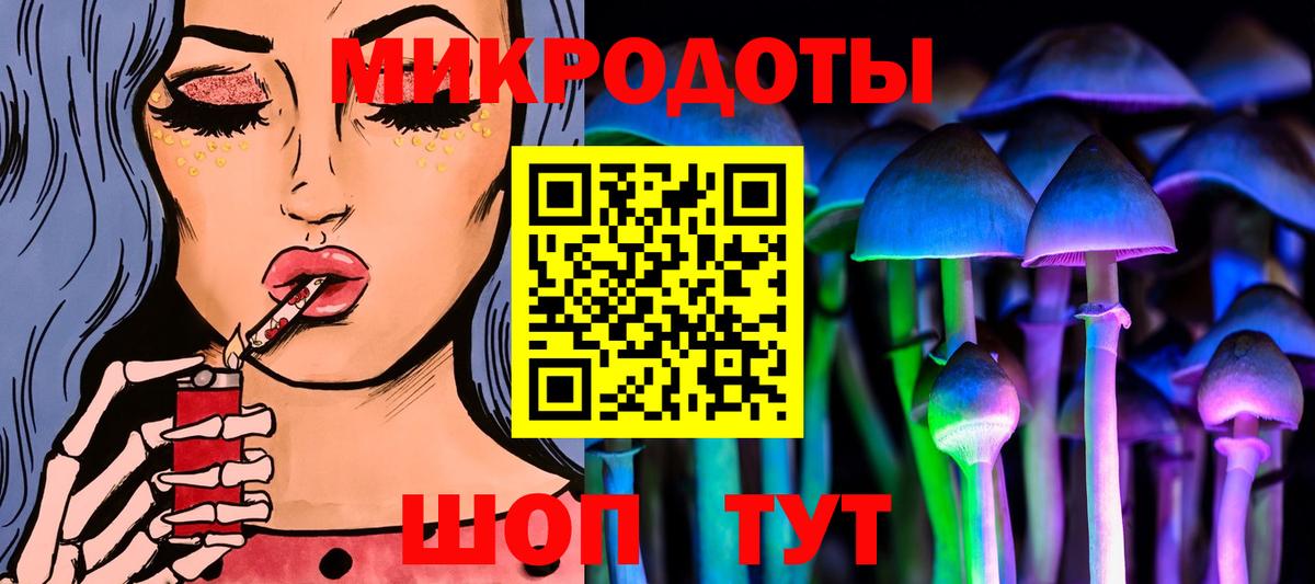 наркошоп  Вход с VPN  Волгоград  Псилоцибиновые грибы Psilocybe 
